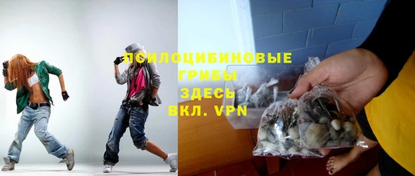 ешки Алексин