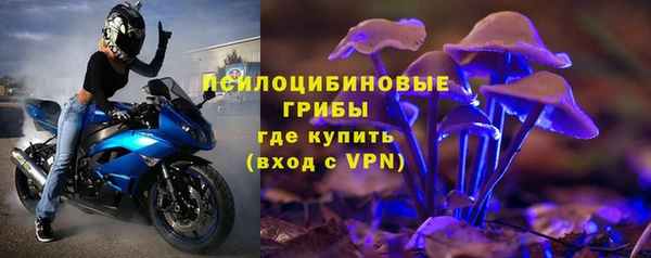 МДПВ Алексеевка